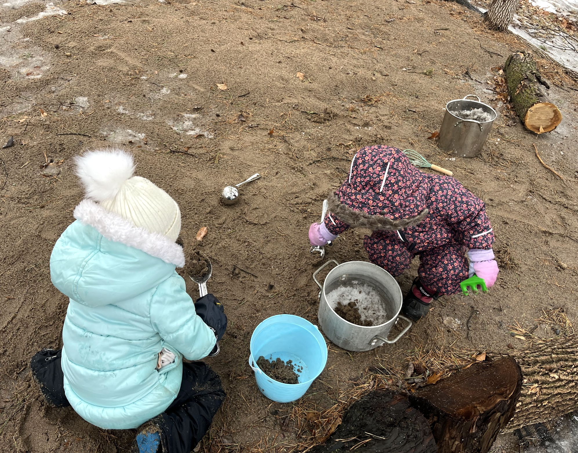 Nature school activity